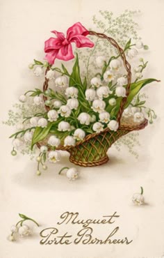 MUGUET2